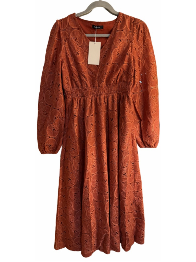 New Long Puff Sleeve Floral V Neck Lace Eyelet Hollow Out Maxi Dress S